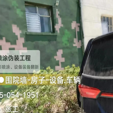 深圳数码迷彩漆施工